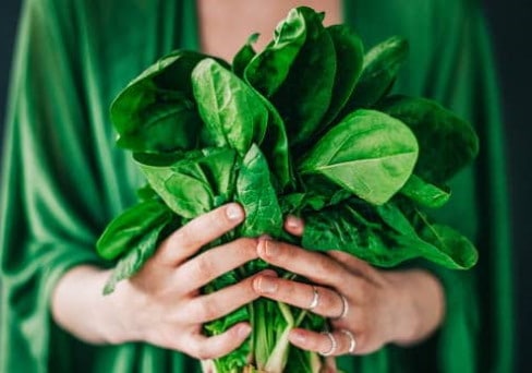 grüne-Küche_Frau mit Mangold in der Hand_vegan