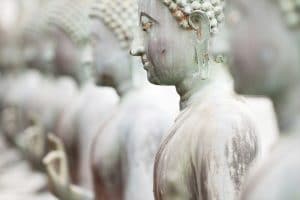 Mehrere Buddhas