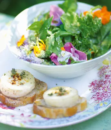 Kräuter-Blüten-Salat - Sommerküche - Kochbuch
