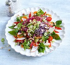 Wildkräuter-Sprossen-Salat
