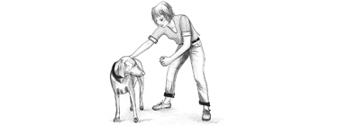Hundeerziehung: Auf Ruf kommen