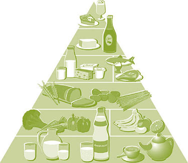 Was sind gesunde Lebensmittel - Ernährungspyramide - GU Ratgeber Essen als Medizin