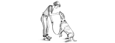Hundeerziehung: Sitzen - Falscher Moment