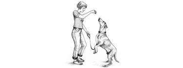 Hundeerziehung: Sitzen - Kommando zu früh