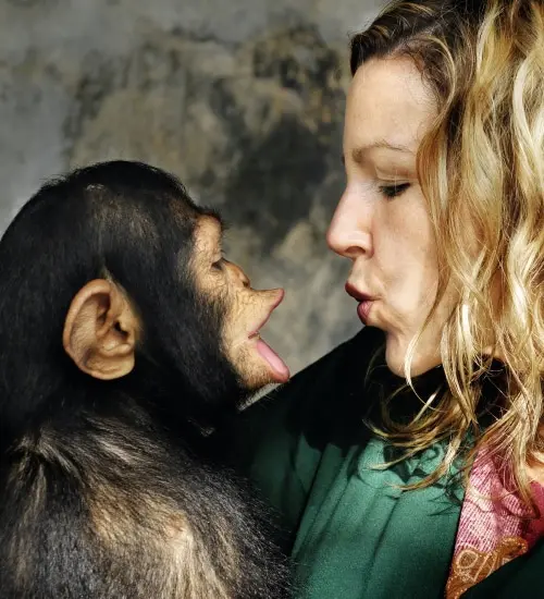 Affe und Frau sprechen miteinander