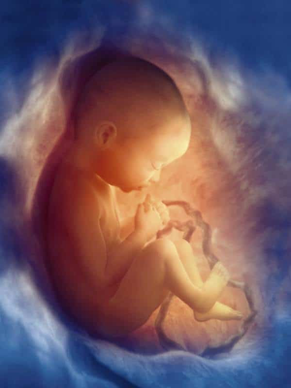 Baby im Mutterleib im blau-orangen Licht
