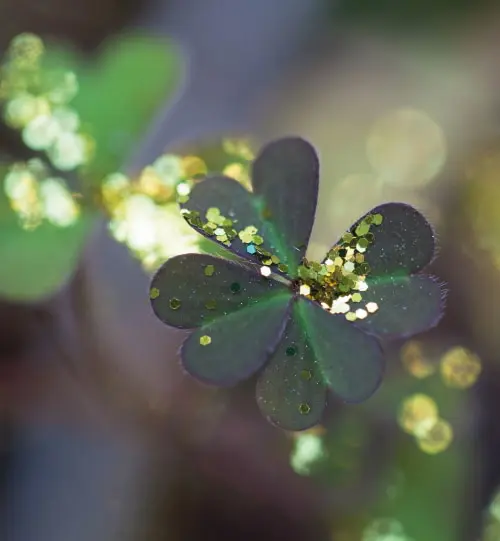 Glitter clover - St. Patricks Day