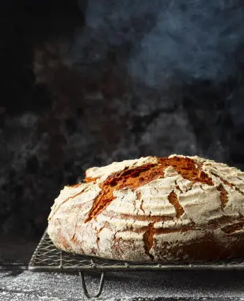 Brot dampft aus