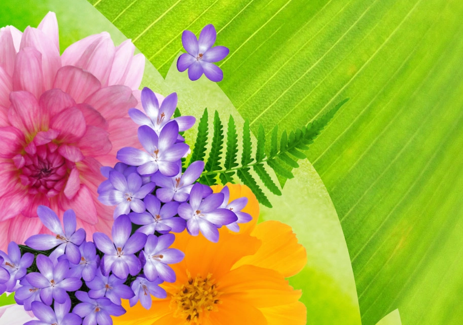 Grafik mit animierten Blumen und Blättern